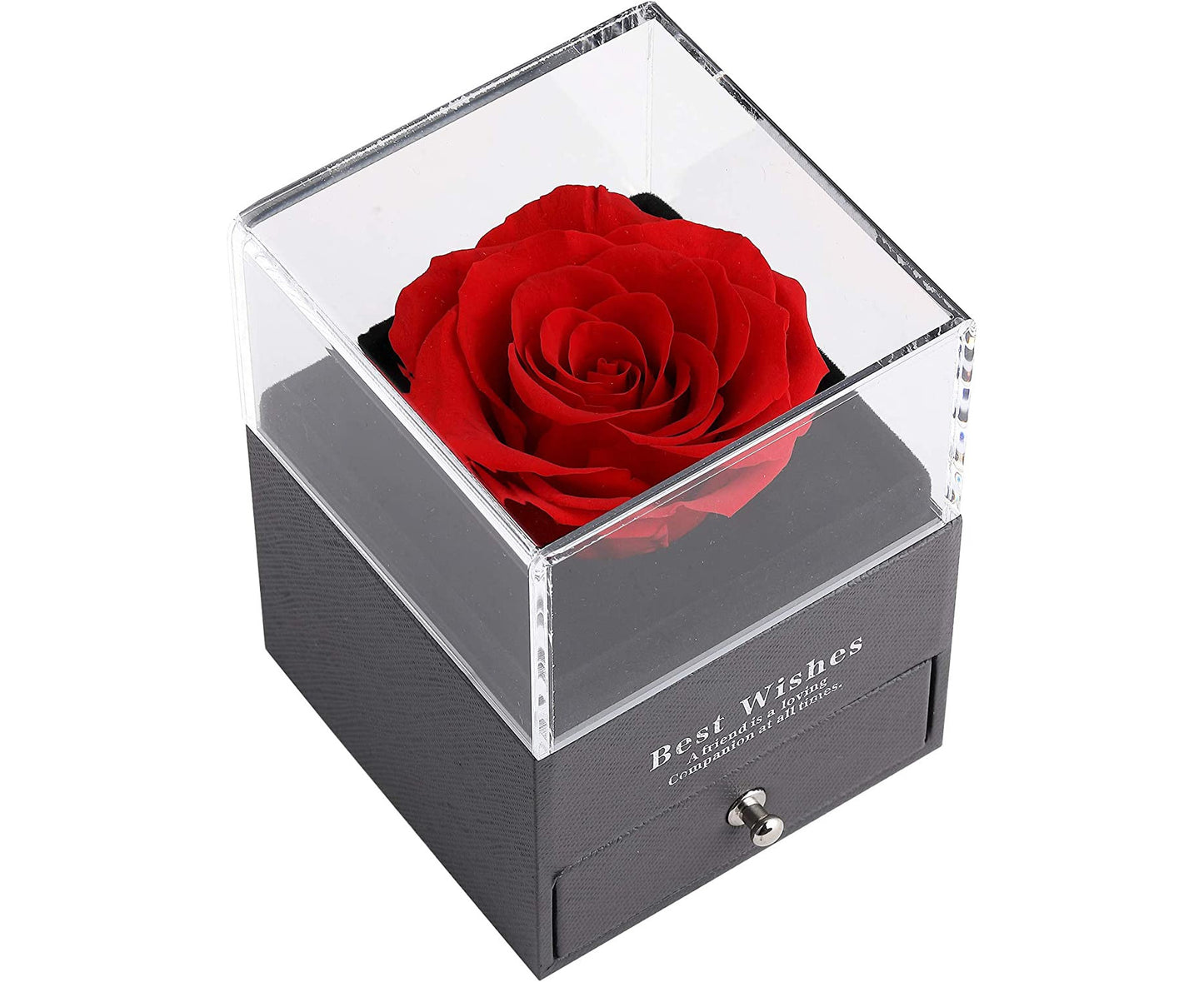 Preserved Real Rose Gift Box Enchanted Rose with I Love You Necklace